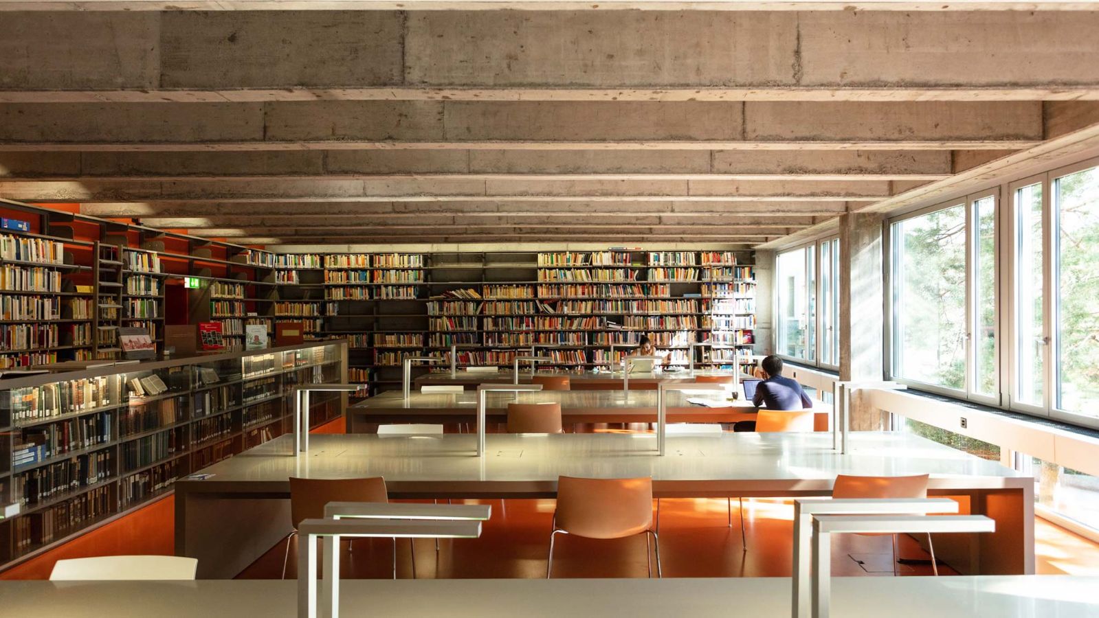 UB Educational Science: A small but pretty library location